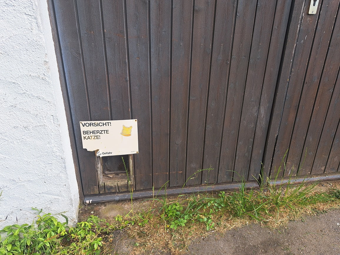 Eine Katzenlösung für alle Mäuseprobleme auf Flugplätzen